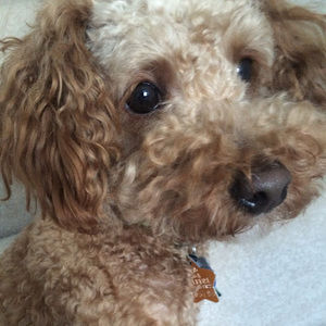 Meet your Posher, Pamela